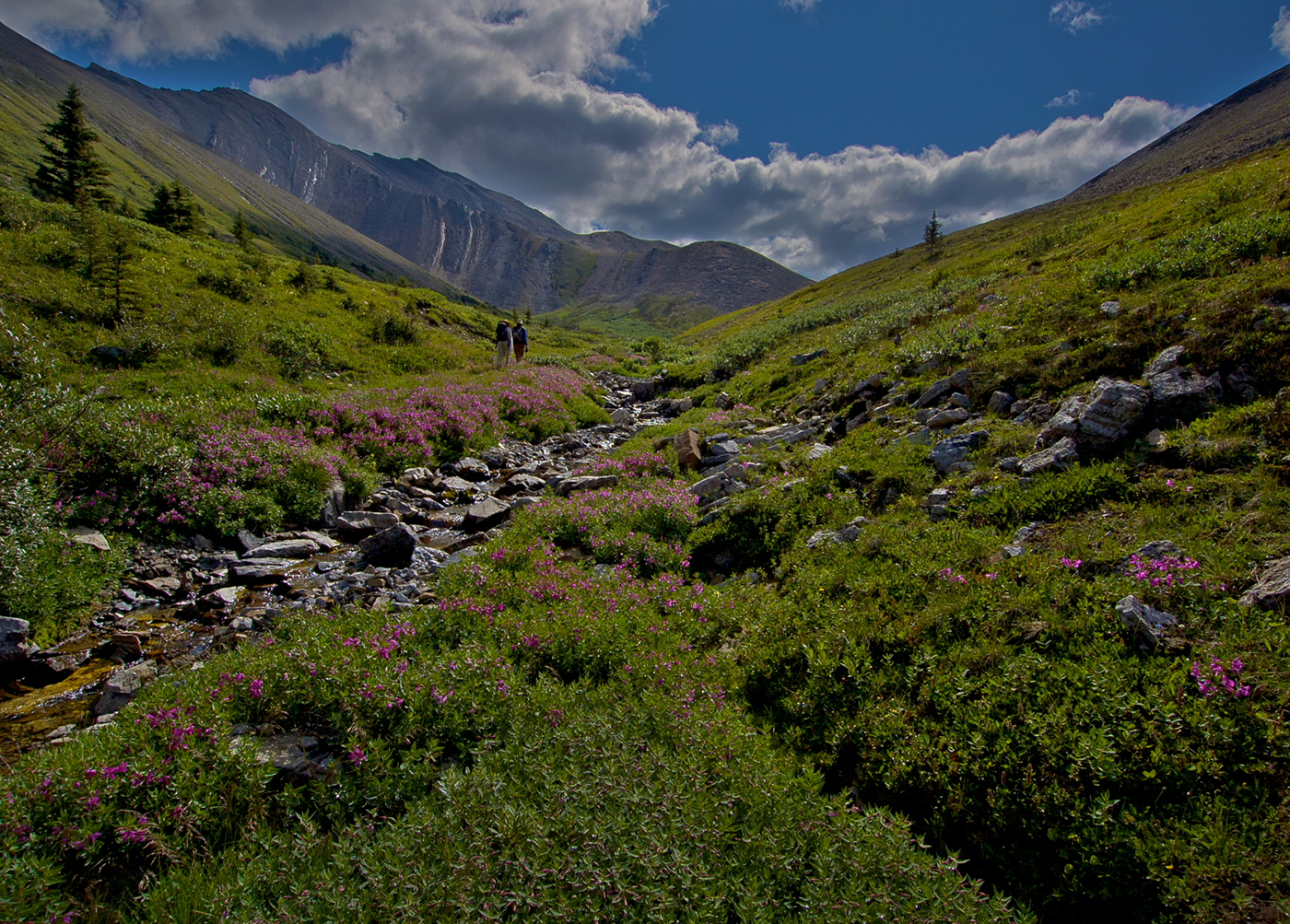 Willmore Wilderness Park, Rocky Mountains, Alberta, Canada